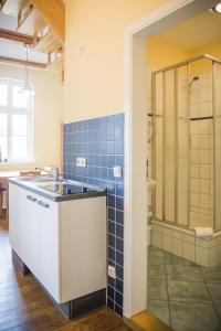 a bathroom with a sink and a shower at Haus Seenland in Feldberg