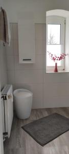 a white bathroom with a toilet and a window at Ferienwohnung im Bauernhaus in Gallin