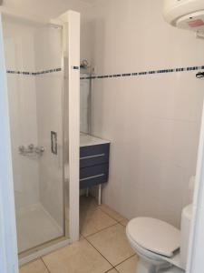 uma casa de banho com um chuveiro e um WC. em Charmant T2 en rez de chaussée em Balaruc-les-Bains