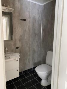 a bathroom with a toilet and a sink and a mirror at In the heart of the Lyngen alps, Holmen i Lyngen in Lyngseidet +35 photos