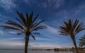 two palm trees on a beach near the water at Agi Arago Studio in Roses