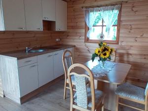 a kitchen with a table and chairs and a sink at Agroturystyka Sosenka in Bieliny