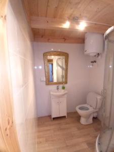 a bathroom with a toilet and a sink and a mirror at Agroturystyka Sosenka in Bieliny