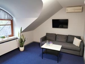 TV a/nebo společenská místnost v ubytování Hotel U Racka