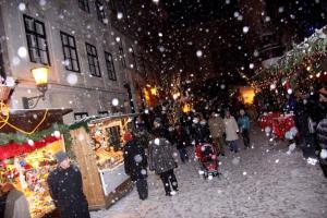 uma multidão de pessoas andando por uma rua na neve em City Apartment and rooms em Viena