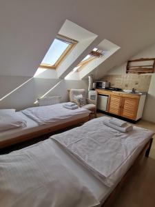 ein Schlafzimmer im Dachgeschoss mit 2 Betten und einer Küche in der Unterkunft Penzion pod Kostelíčkem in Třebíč