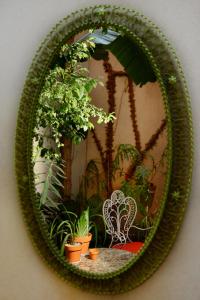 Rendez Vous Hotel Buenos Aires في بوينس آيرس: مرآة معلقة على جدار مع نباتات الفخار