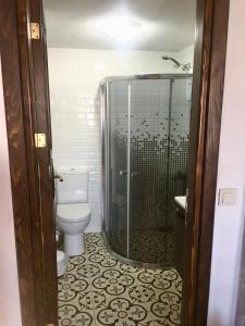 een badkamer met een toilet en een glazen douche bij SARI KEÇİ TAŞ OTEL in Gokceada Town