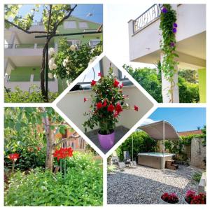 a collage of photos with flowers in a garden at Green Lagoon, Hvar island in Vrboska