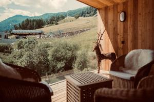 a room with a balcony with a view of a train at Chalet Ortles in San Valentino alla Muta