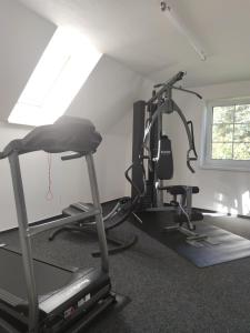 a gym with two exercise bikes and a treadmill at Apartmány Filipov in Česká Kamenice