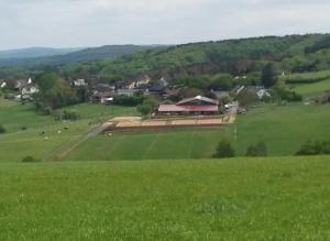 a field of green grass with a farm in the distance at Schönes Appartement " Die Ponybude" auf unserem Reiterhof in Birkenbeul