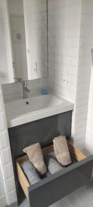 uma casa de banho com um lavatório e um balcão com toalhas em Logement tout confort au coeur de la Haute-Savoie - Le Barycentre em La Roche-sur-Foron