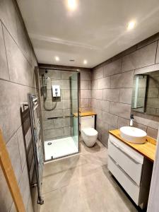 a bathroom with a shower and a toilet and a sink at Sabine Hay Barn in Matlock