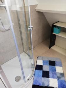 a bathroom with a shower with a toilet and a rug at Residentie Blijdorp in Rotterdam