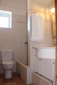 La salle de bains est pourvue de toilettes, d'un lavabo et d'une douche. dans l'établissement Hanakia, à Stoupa