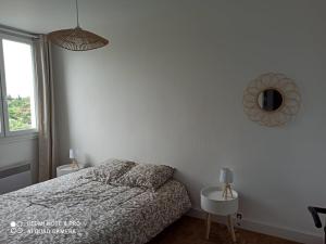 a bedroom with a bed and a mirror on the wall at Superbe appartement tout équipé proche Hypercentre in Bergerac