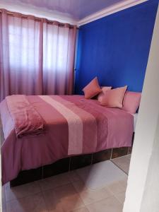 a bedroom with a large bed with a blue wall at Bophelo Guest House @ Pella in Ga-Mathako