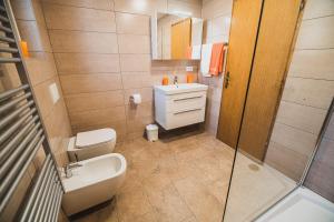 a bathroom with a sink and a toilet and a shower at Apartma Rombon Brdo with Free Onsite Parking in Bovec