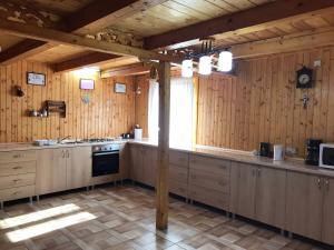 a kitchen with wooden walls and a stove top oven at Pensiunea Valea Tonii in Strungari