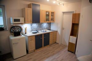 a small kitchen with a refrigerator and a microwave at Ferienwohnung Balm mit Terrasse im Garten und WLAN in Balm
