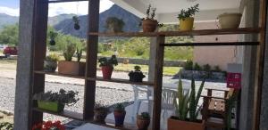 a window with a bunch of potted plants at Cabañas Cafayate I in Cafayate