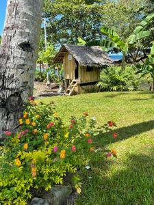 Jardí fora de Agoho Resort