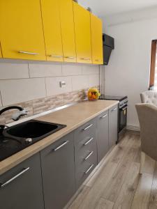 a kitchen with a sink and yellow cabinets at Stephanie Apartment in Galaţi