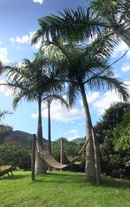 two palm trees with a hammock in a field at Pousada Viva in Ibitirama
