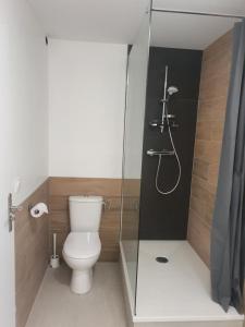 a bathroom with a toilet and a glass shower at LA PIERRINA - Chamois - Appart 3 étoiles in Aix-les-Bains