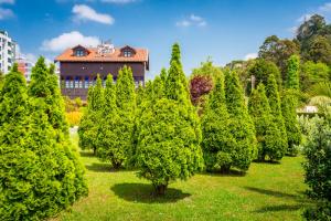 a row of pine trees in a garden at Hotel Castillo de Gauzón in Salinas