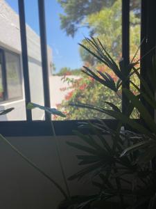 Imagen de la galería de Excelente Loft con terraza verde y ducha, en San Isidro