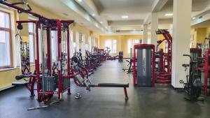 Fitness centrum a/nebo fitness zařízení v ubytování Olympavan Hotel
