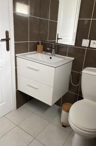 bagno con lavandino bianco e servizi igienici di Villa 605 - climatisé a Tain-l'Hermitage