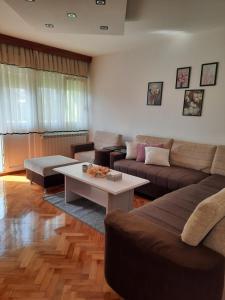 a living room with a couch and a coffee table at Stan na dan DUNJA 1 in Vršac