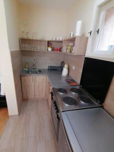 Kjøkken eller kjøkkenkrok på Haus Apartman Zaječar M&L