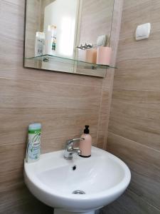 Et bad på Haus Apartman Zaječar M&L