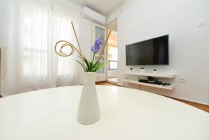 TV a/nebo společenská místnost v ubytování Apartment Ema Old Town