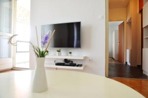 TV a/nebo společenská místnost v ubytování Apartment Ema Old Town