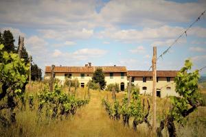 un edificio en medio de un campo con vides en Agriturismo Fattoria le caprine en Gambassi Terme