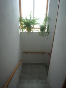 Fotografia z galérie ubytovania Apartment View Razanac v Ražanaci