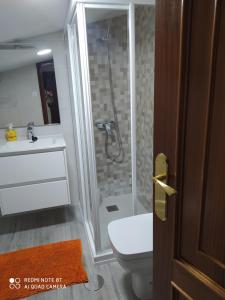 ein Badezimmer mit Dusche, Toilette und Waschbecken in der Unterkunft Habitación Alex , es un quinto sin ascensor in Pontevedra