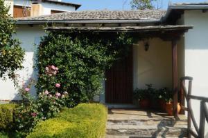 A garden outside Villa Katia with Sea view, Pourion, Zagora