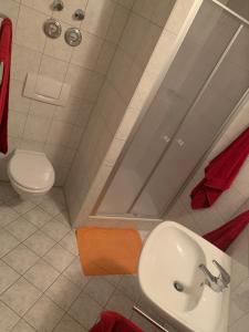 ein Bad mit einem Waschbecken und einem WC in der Unterkunft Allgäustüble in Steibis
