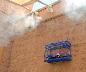 a blue bird cage hanging from a brick wall at Dar Housnia in Marrakesh