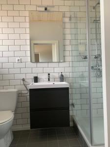 a bathroom with a sink and a toilet and a mirror at Apartment Armstrong in Gundersheim