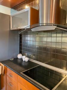 a kitchen with a sink and a microwave at Elite Home in Polykastro +13 photos