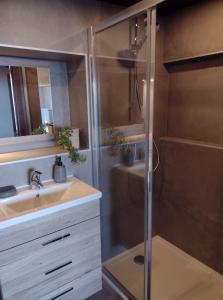 een badkamer met een douche en een wastafel bij VOTRE HORIZON in Aywaille