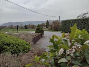 une passerelle dans un jardin avec des buissons et des arbres dans l'établissement VOTRE HORIZON, à Aywaille