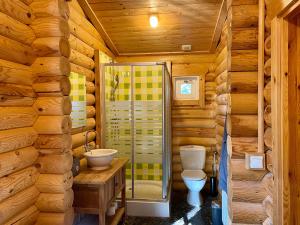 a log cabin bathroom with a shower and a toilet at Scandinavian Lodges (by Outdoors Holten) in Holten